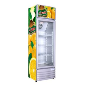 REFRIGERATEUR ASTECH VITRINE FV274AC 1PORTE