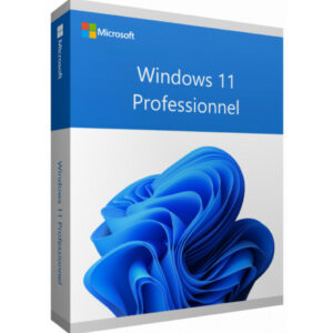 Microsoft Windows 11 Professionnel 64 bits francais (Licence originale )
